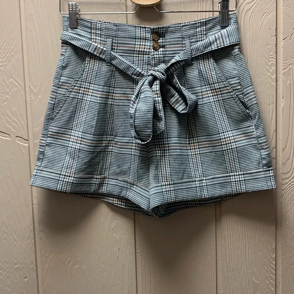 Abercrombie & Fitch Shorts - Picture 2 of 8